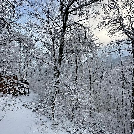 Willa Wood House Blaimont Zewnętrze zdjęcie