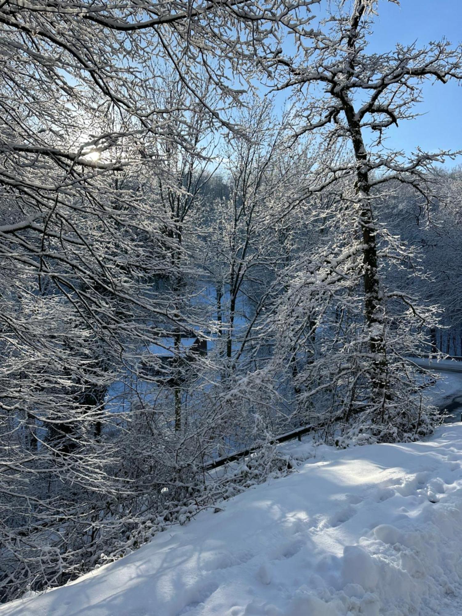 Willa Wood House Blaimont Zewnętrze zdjęcie